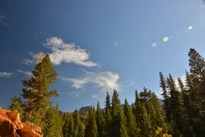 DSC_7844 (Large).JPG